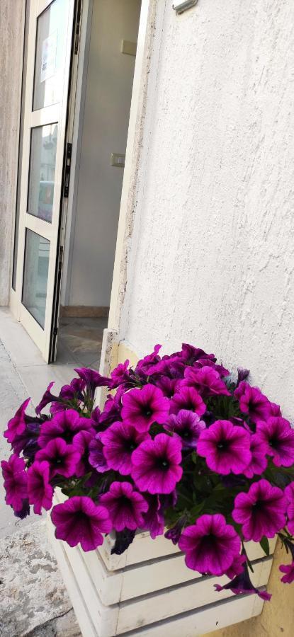 Apartment Otrantocasa